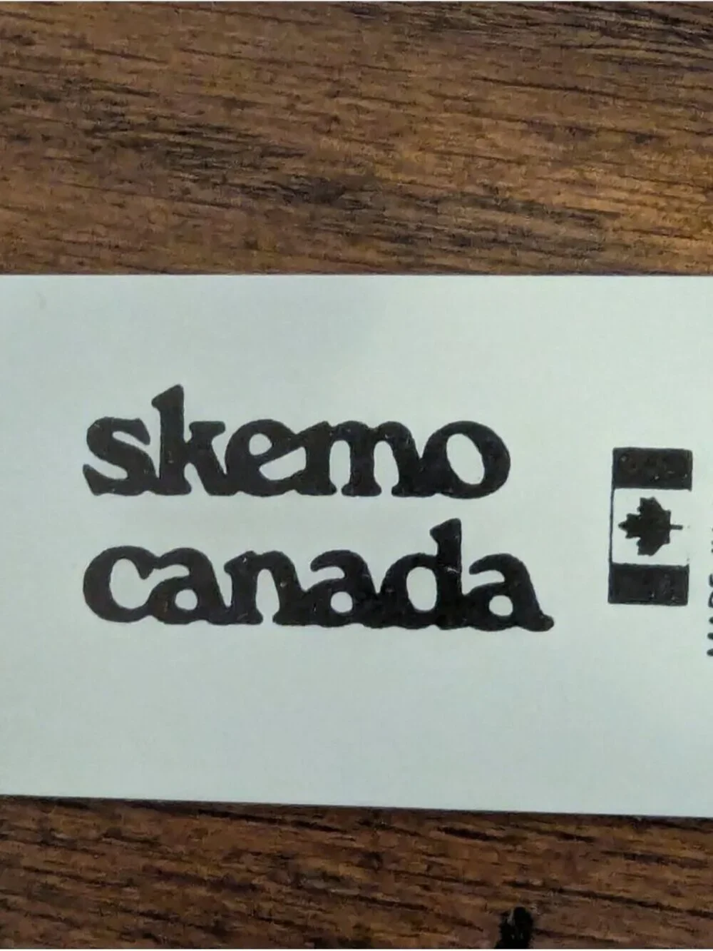 Vintage Skemo Canada Polar Bear Placemat & Coaster Set Of 4 in Blue Teal & White